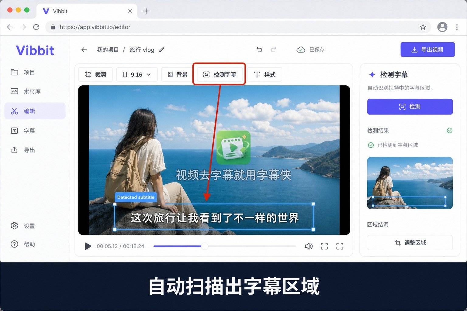 Vibbit-02-自动检测