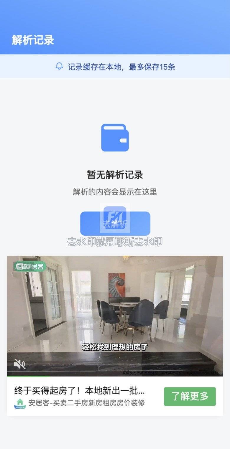 历史解析记录